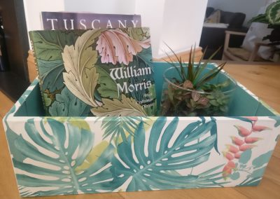 Box botanical