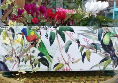 Box birds paper
