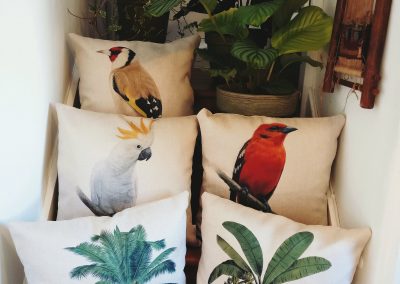 Cushions many