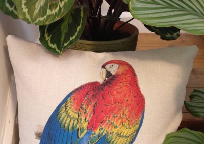 Cushion Arara